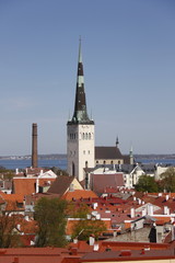 Église Saint-Olaf à Tallinn, Estonie