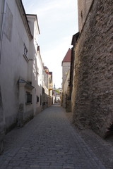 Rue pavés de la ville basse à Tallinn, Estonie
