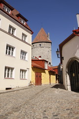 Fototapeta na wymiar Rue pavés à Tallinn, Estonie