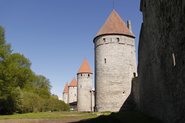 Fototapeta na wymiar Muraille à Tallinn, Estonie