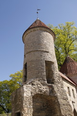 Tour m&eacute;di&eacute;val de la ville basse &agrave; Tallinn, Estonie	