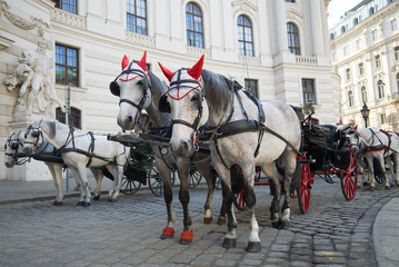 Fototapeta na wymiar The horses harnessed in a fiacre close up. Tourist transport of Vienna