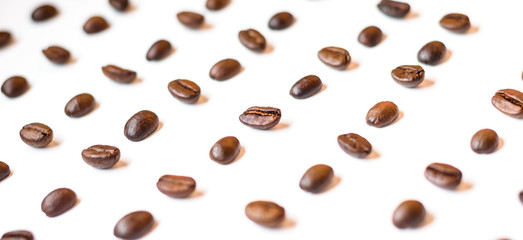 coffee beans top view copy space, white back ground