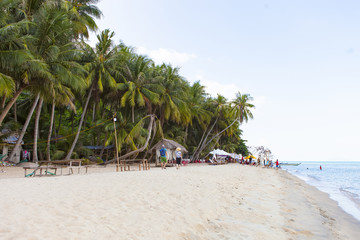 Coconut tree at coconut beach on Son island, Kien Giang, Vietnam. Near Phu Quoc island