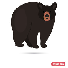 Obraz premium Baribal black bear color flat icon