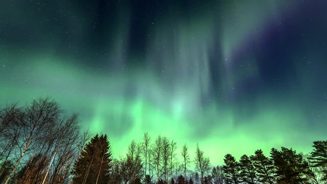 Aurora borealis 6 hours timelapse scandinavia above forest then fast moving clouds