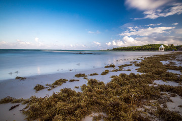 Beach at riviera maya near Cancun and Tulum in Mexico on a sunny afternoon