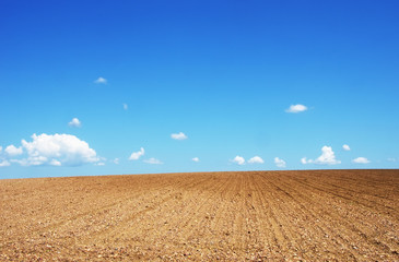 Fototapeta na wymiar ploughed field under blue sky
