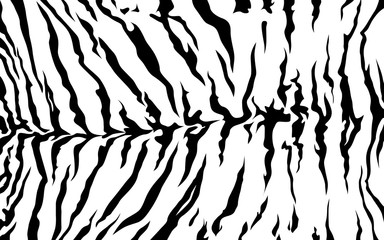 stripe animal jungle tiger fur texture pattern white black