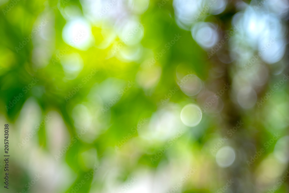 Poster blur bokeh on background