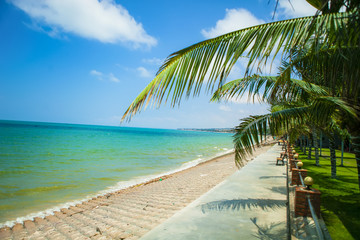 Beautiful beach with blue sky and coconut in Mui Ne, Binh Thuan province, Vietnam