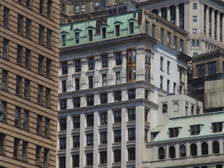 Obraz premium OLYMPUS DIGITAL CAMERA