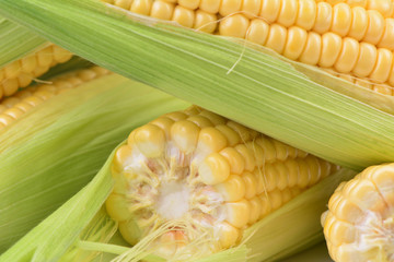 Fresh corn