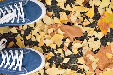Background Pair of blue canvas shoes with fallen autumn leaves