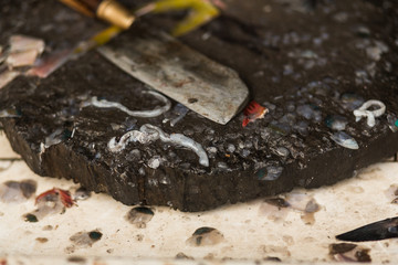 Knife on place for seafood cutting