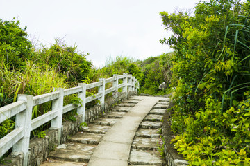 Path on Mui Dai Lanh, Phu Yen province, Vietnam