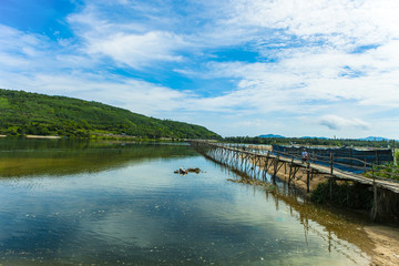 Ong Cop bridge woods Phu Yen, Vietnam