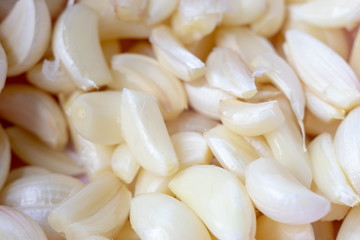 Close up garlic on background
