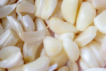 Close up garlic on background
