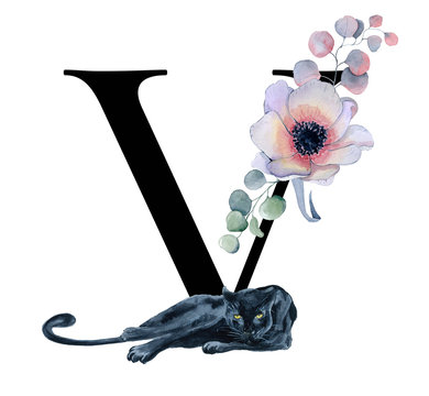  Floral watercolor alphabet. Monogram initial letter V design with hand drawn peony and anemone flower  and black panther 