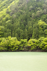 新緑萌える山