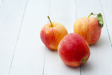 Apples
