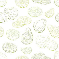 Bergamot graphic green color seamless pattern background sketch illustration vector