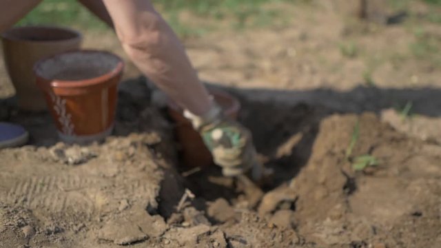 Girl leaves soil in flower pots