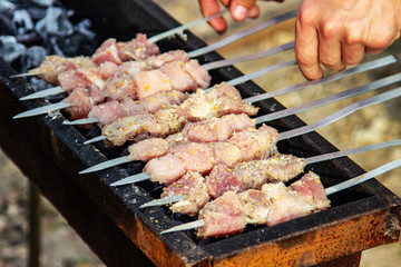 Assorted delicious grilled meat with vegetables over the coals on a barbecue
