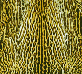 leopard background texture