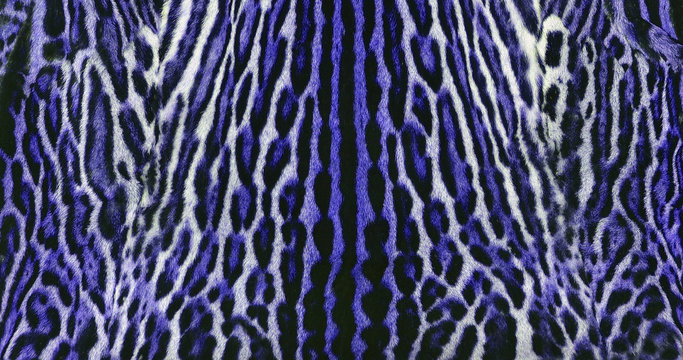leopard background texture