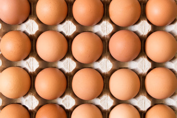 Background of large chicken eggs in a cardboard box. Close up