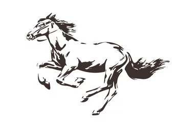 Silhouette of energetic running horse painted by ink. Vector hand drawn illustration. Sketch style isolated. © Ekaterina