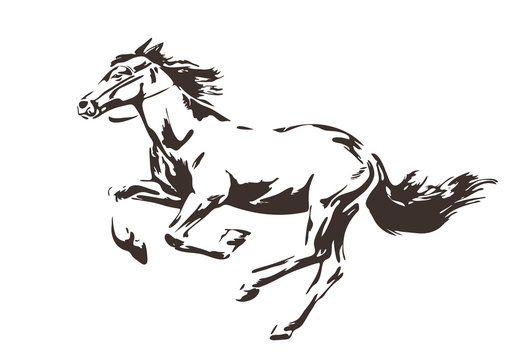 Silhouette of energetic running horse painted by ink. Vector hand drawn illustration. Sketch style isolated.