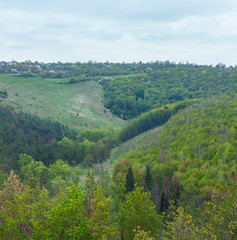 Spring forest, ravine and village from Jazlovets castle ruins, Ternopil Region, Ukraine
