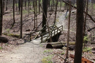 The wooden bridge on the trail from the hill.