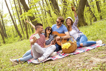 Group of friends enjoying picnic day together and making selfie with hands up