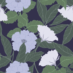 Abstract elegance pattern with floral background.