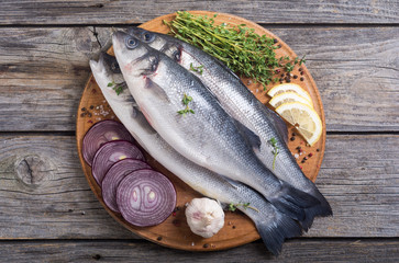 Raw sea bass fish