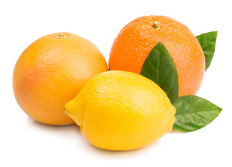 citrus (orange, lemon, grapefruit) - isolated on white background