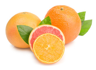citrus (orange, grapefruit) - isolated on white background
