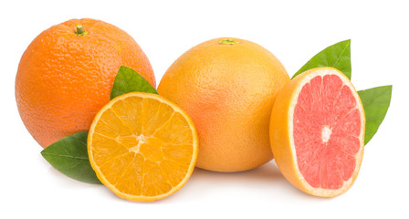 citrus (orange, grapefruit) - isolated on white background