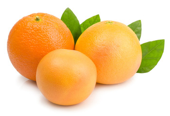 citrus (orange, grapefruit) - isolated on white background