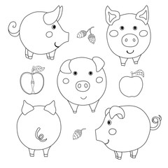 Set of cute cartoon contour pig: face, profile, back view. Sliced and whole apple. Acorn.