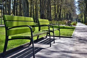 Fototapeta na wymiar Green benches in green park
