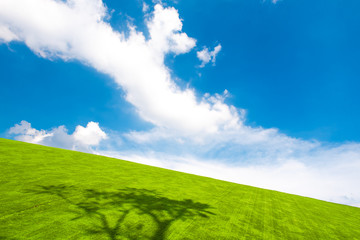 Green grass with blue sky and clouds.