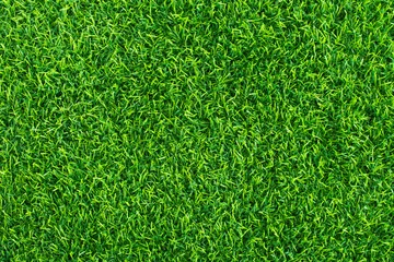 Photo sur Plexiglas Herbe Pelouse verte pour le fond. Fond de texture d& 39 herbe verte. vue de dessus.