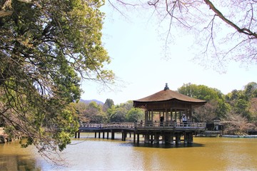 Fototapeta na wymiar 浮見堂/奈良公園