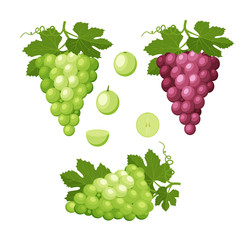 Set of colorful icons of grapes