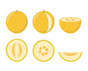 Set of colorful melon icons